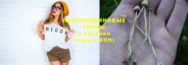 прущая мука Алзамай