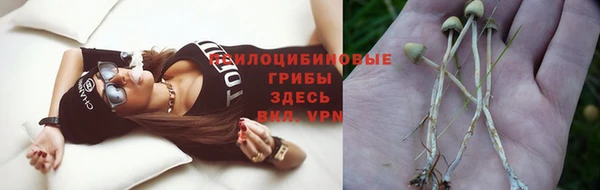 прущая мука Алзамай