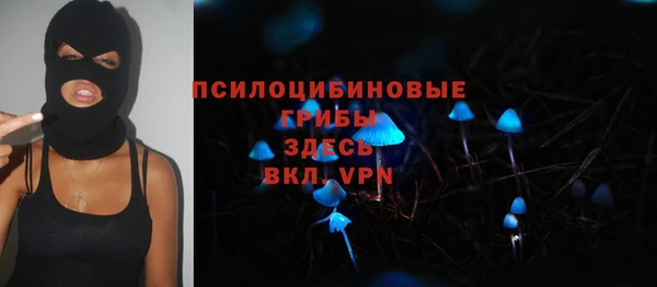 spice Алексеевка