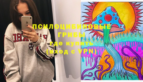 ECSTASY Алексин
